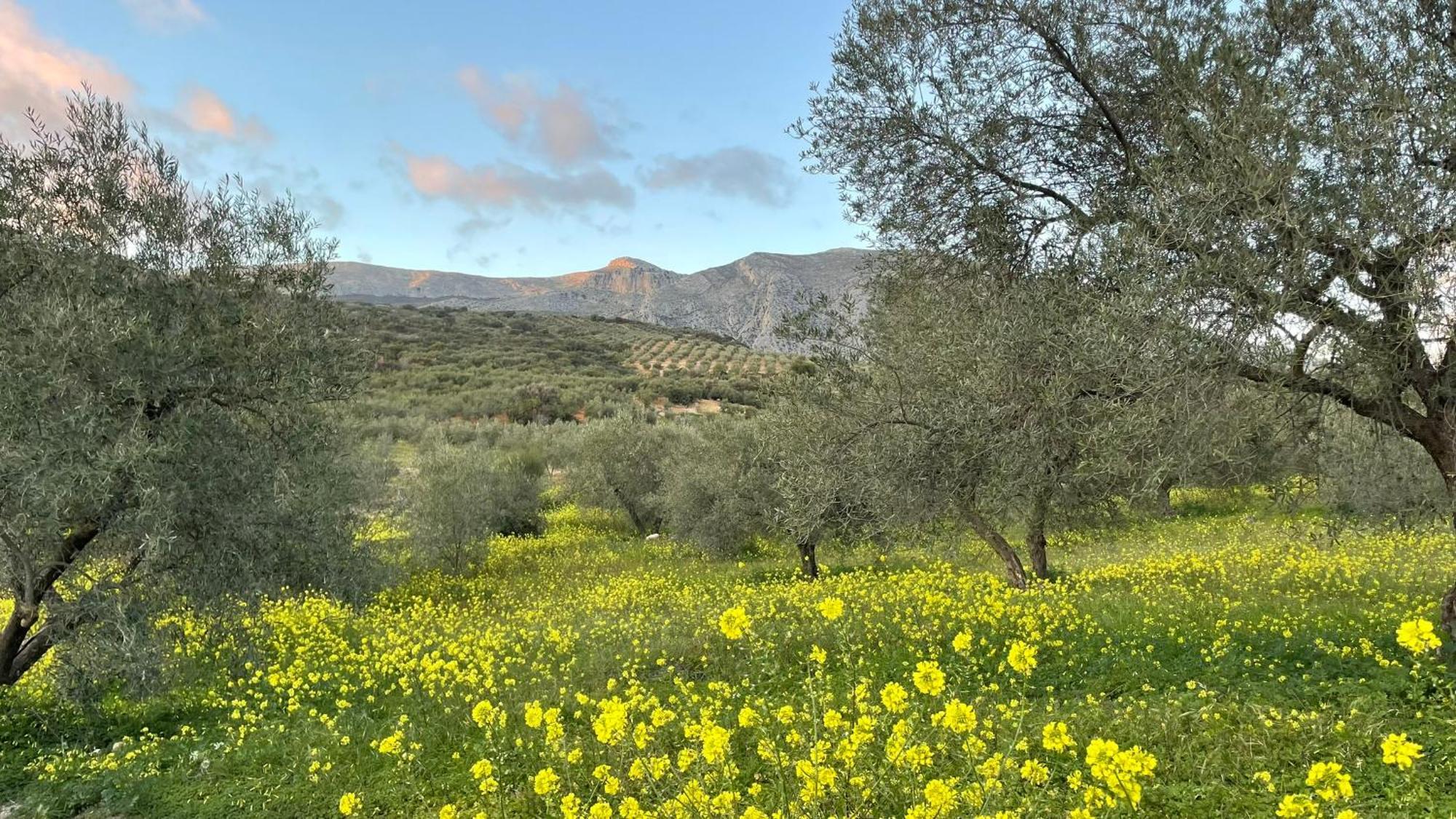 Finca Valle Verde Alora Buitenkant foto