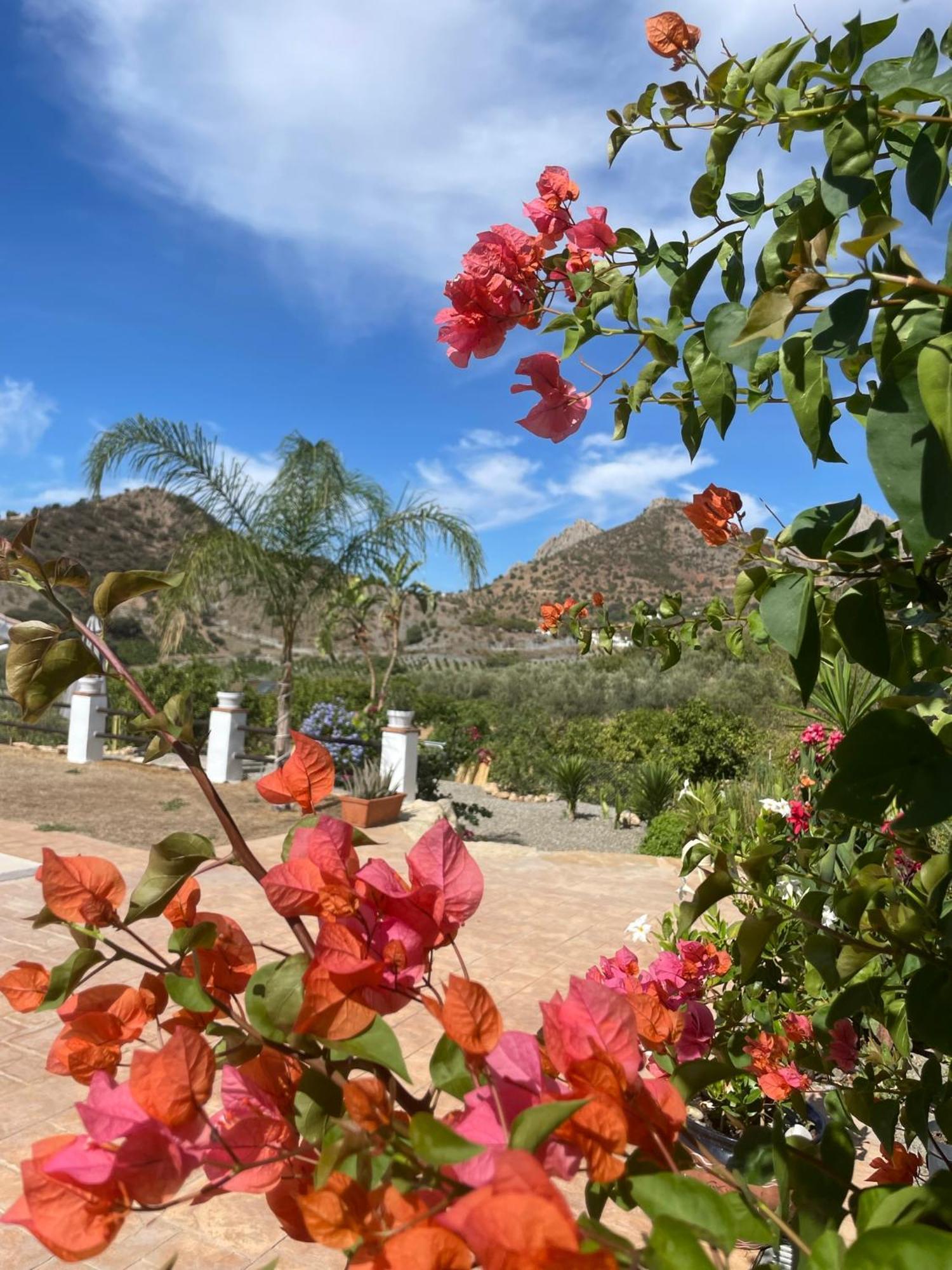 Finca Valle Verde Alora Buitenkant foto