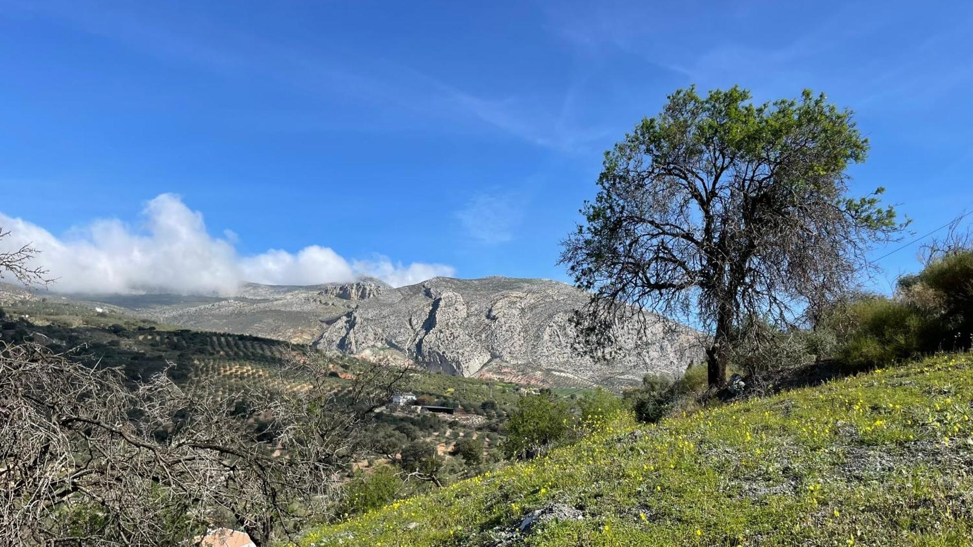 Finca Valle Verde Alora Buitenkant foto
