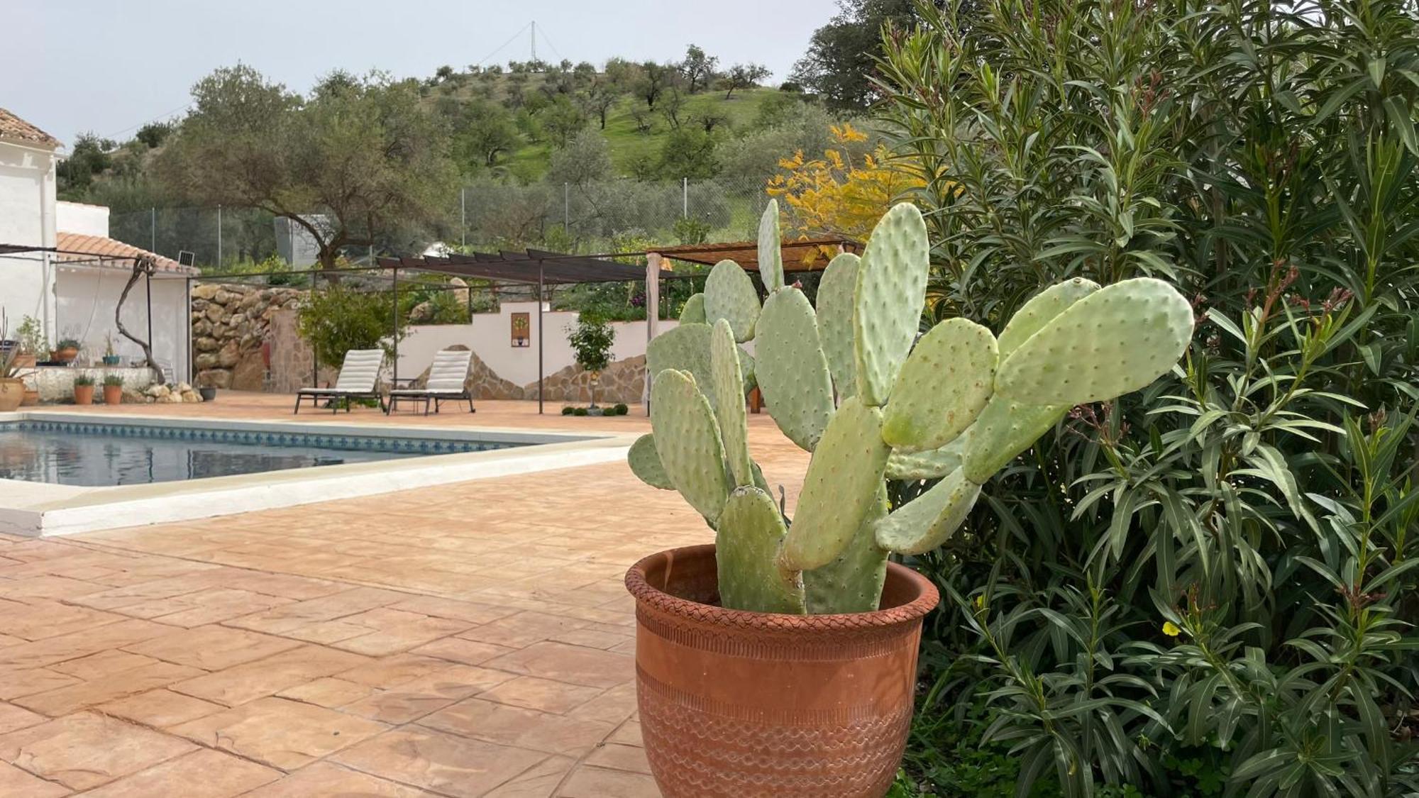 Finca Valle Verde Alora Buitenkant foto
