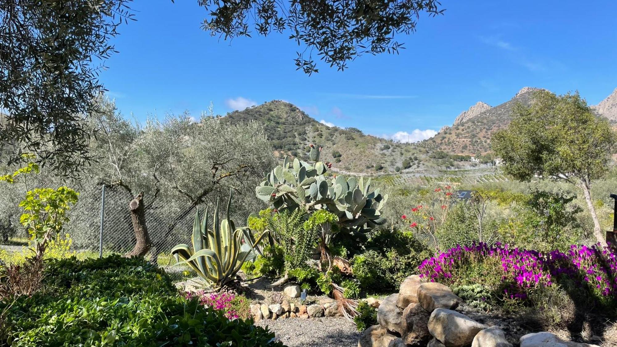 Finca Valle Verde Alora Buitenkant foto