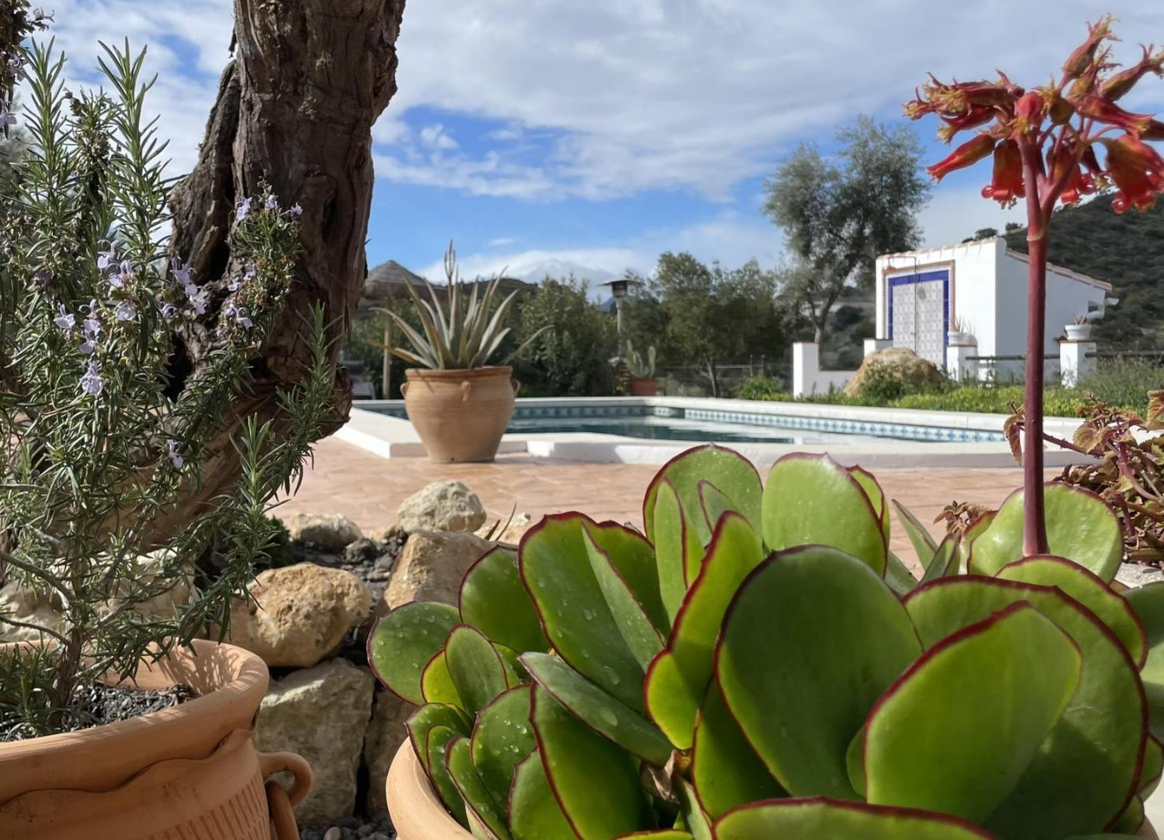 Finca Valle Verde Alora Buitenkant foto
